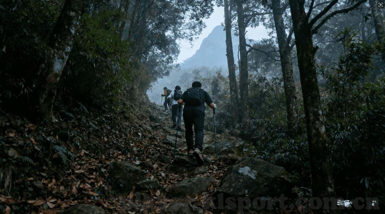 世界杯买球平台哪个好-世界杯买球平台的选择，安全与乐趣并重